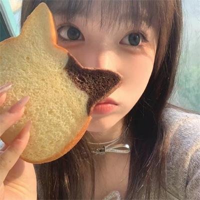 领袖